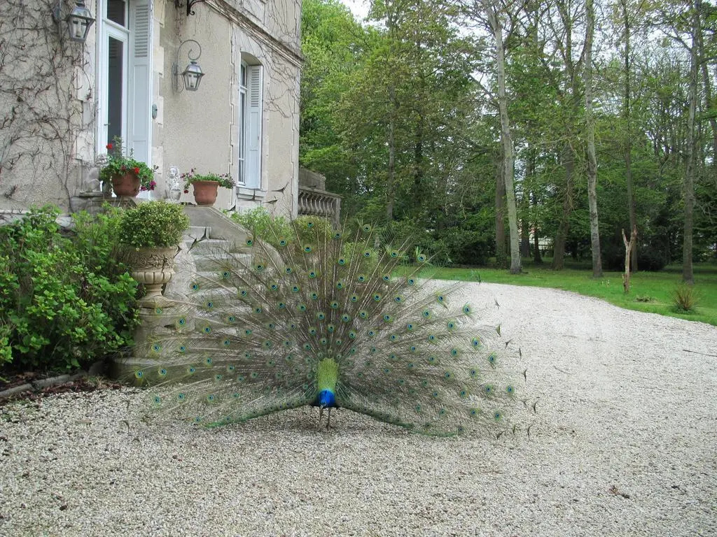 Manoir de la Marjolaine