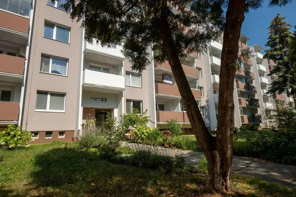 Excellent Large Lux Apartment Central Martin