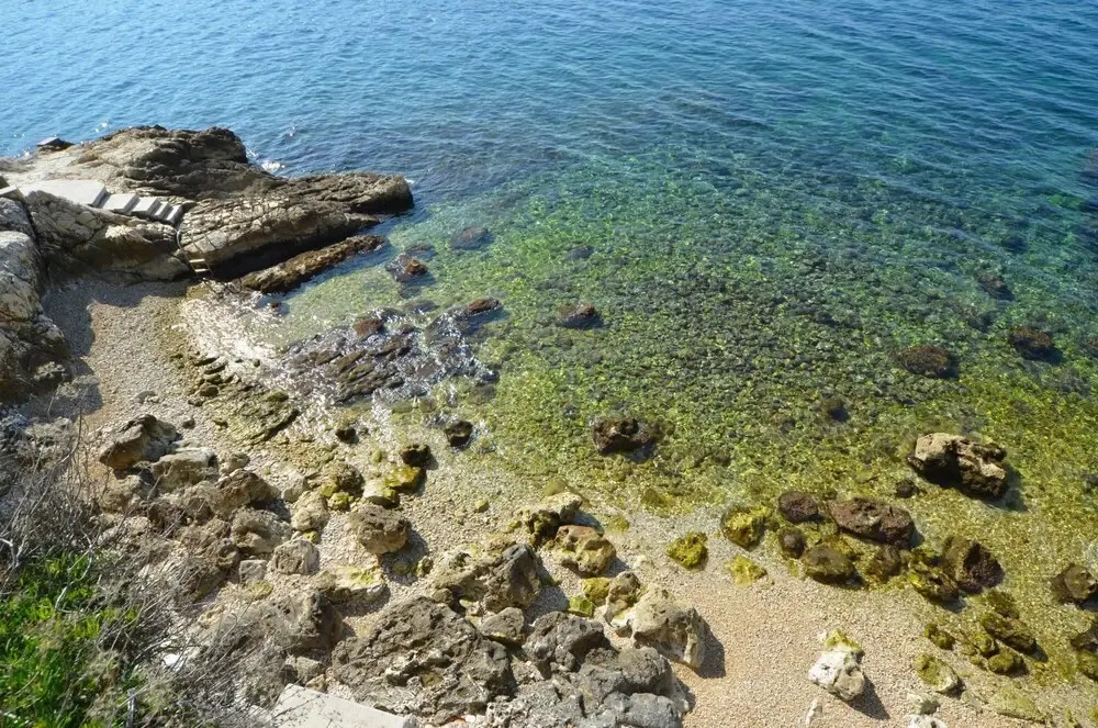 Grisia Attick in Rovinj