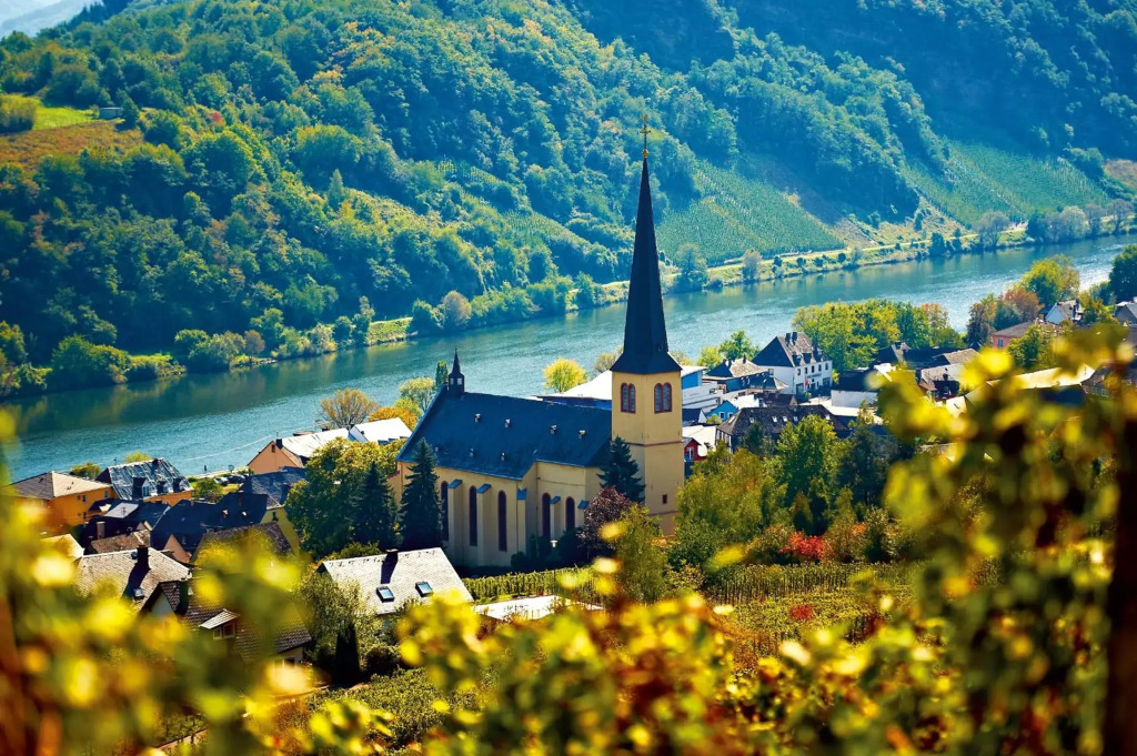 Ferienweingut Rainer Beitzel