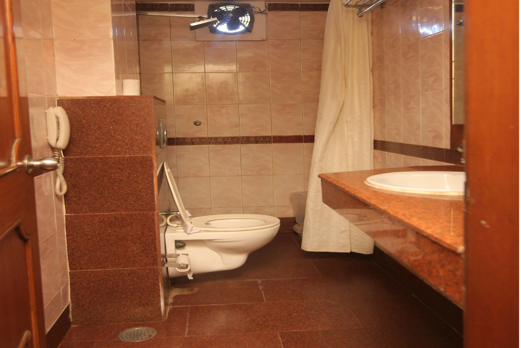 Hotel Metro Agra