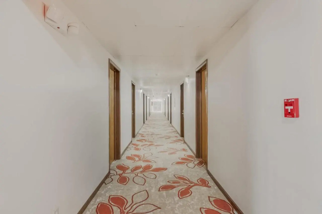 OYO Hotel Morton East Peoria I-74