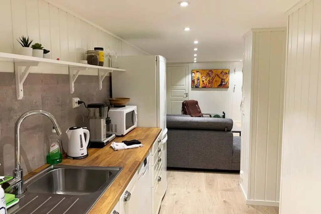 Newly renovated basement apartment