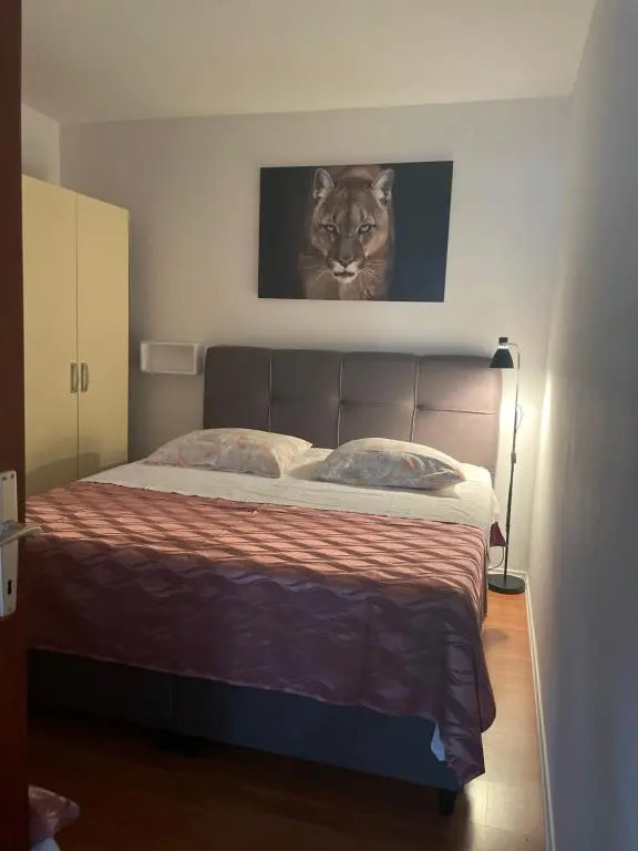 Apartments Iva