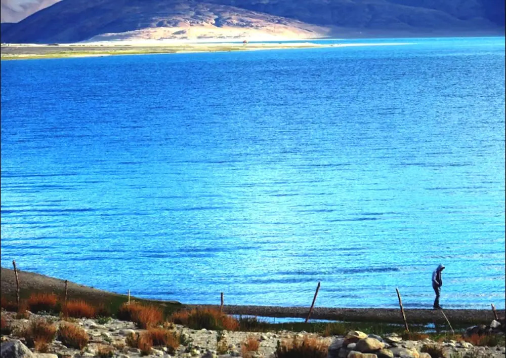 Royal Camp - Pangong