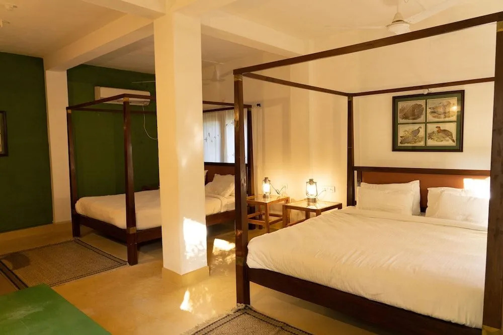 Bagh Tola Bandhavgarh