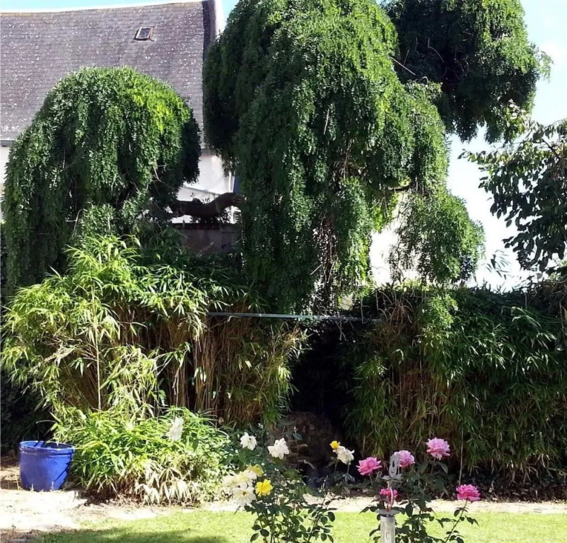 B&B Les Francières