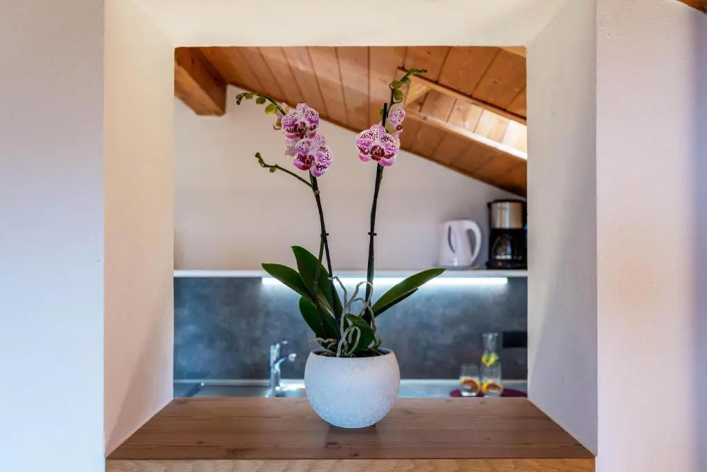 Haus Lohengrin Ferienwohnung 5