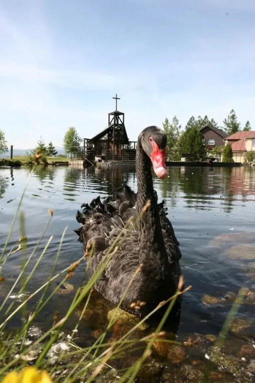 Rodinný Hotel Hubert High Tatras