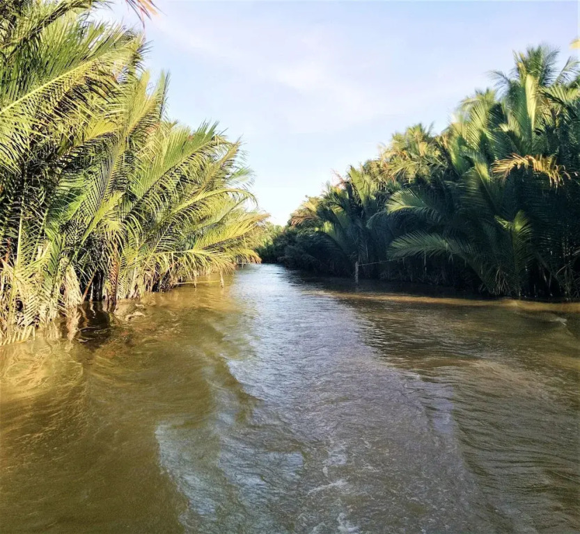 Ben Tre Farm Stay