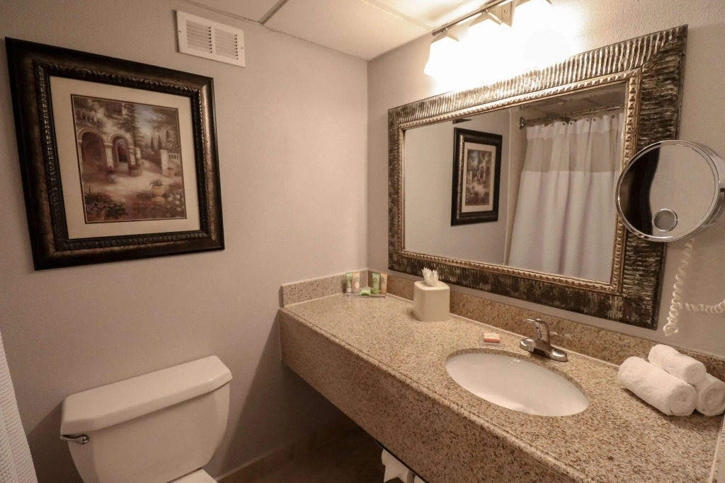 Wyndham Houston near NRG Park - Medical Center