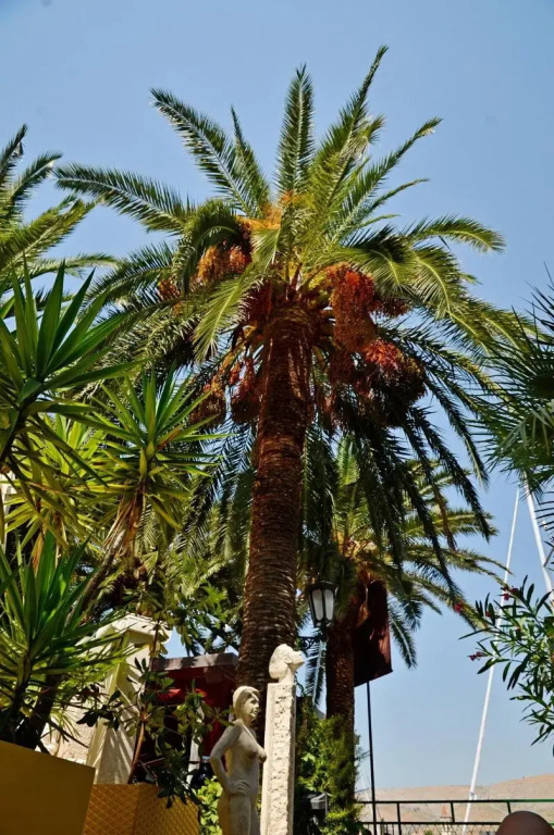 Domus Maritima