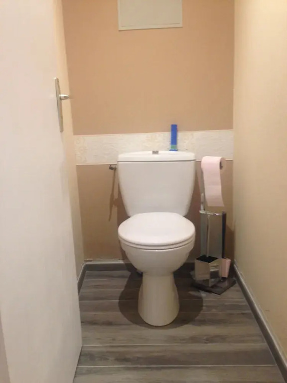 Appartement Plein Centre la Bulliere