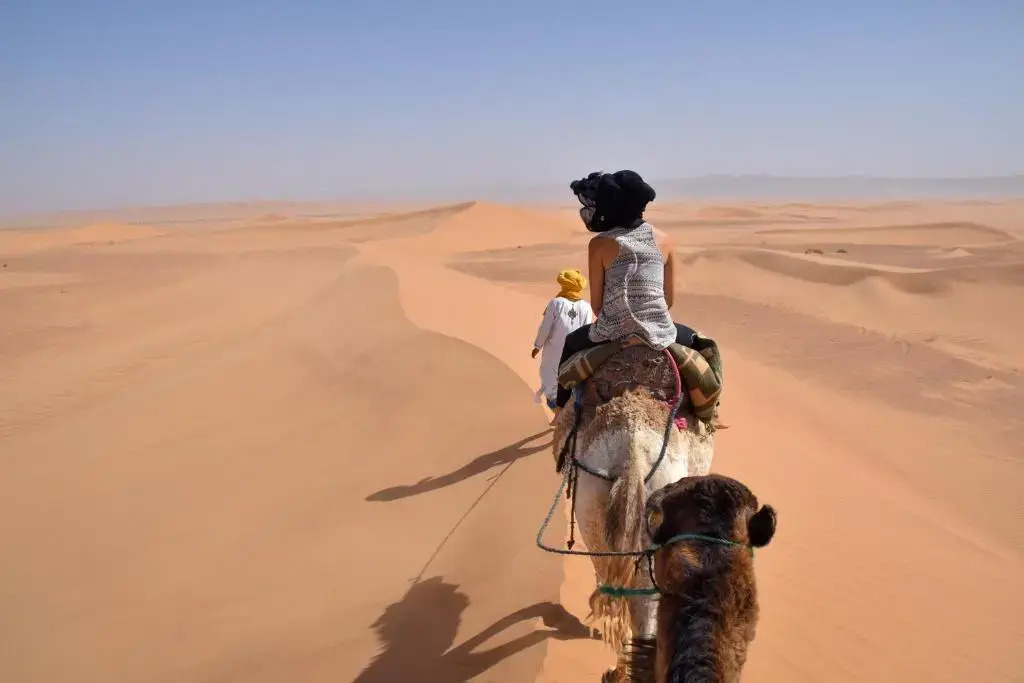 Dar Talmoudi ,Traditional Riad, Local Food, Camel , Desert Excursions