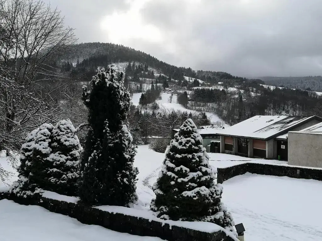 Appartement cosy et fonctionnel la Bourboule