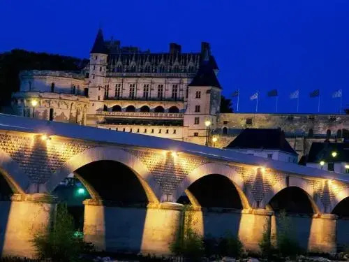 T2 Vue chateau Amboise, Cozy,Calme,Wifi,Netflix