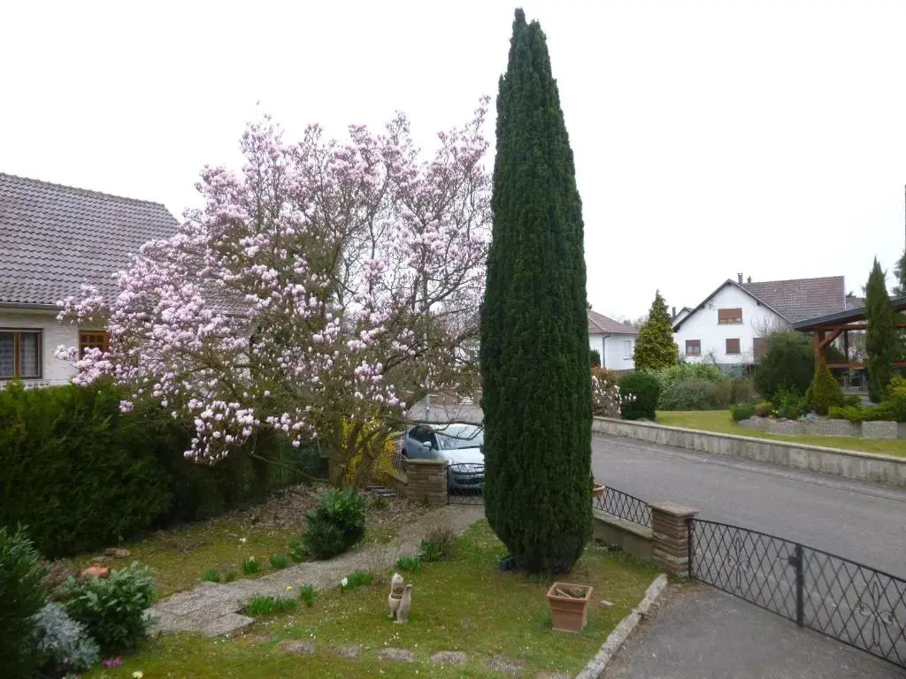 Jardin Fleuri
