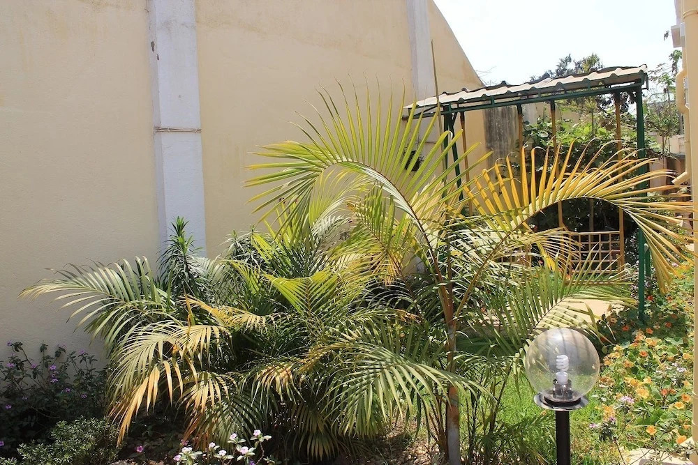K.méléon Hôtel