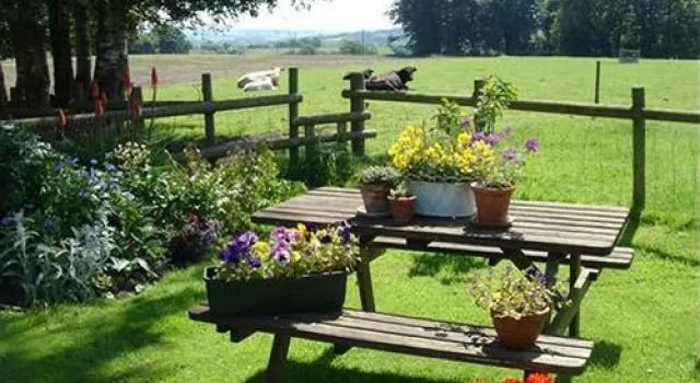 Yew Tree Farm