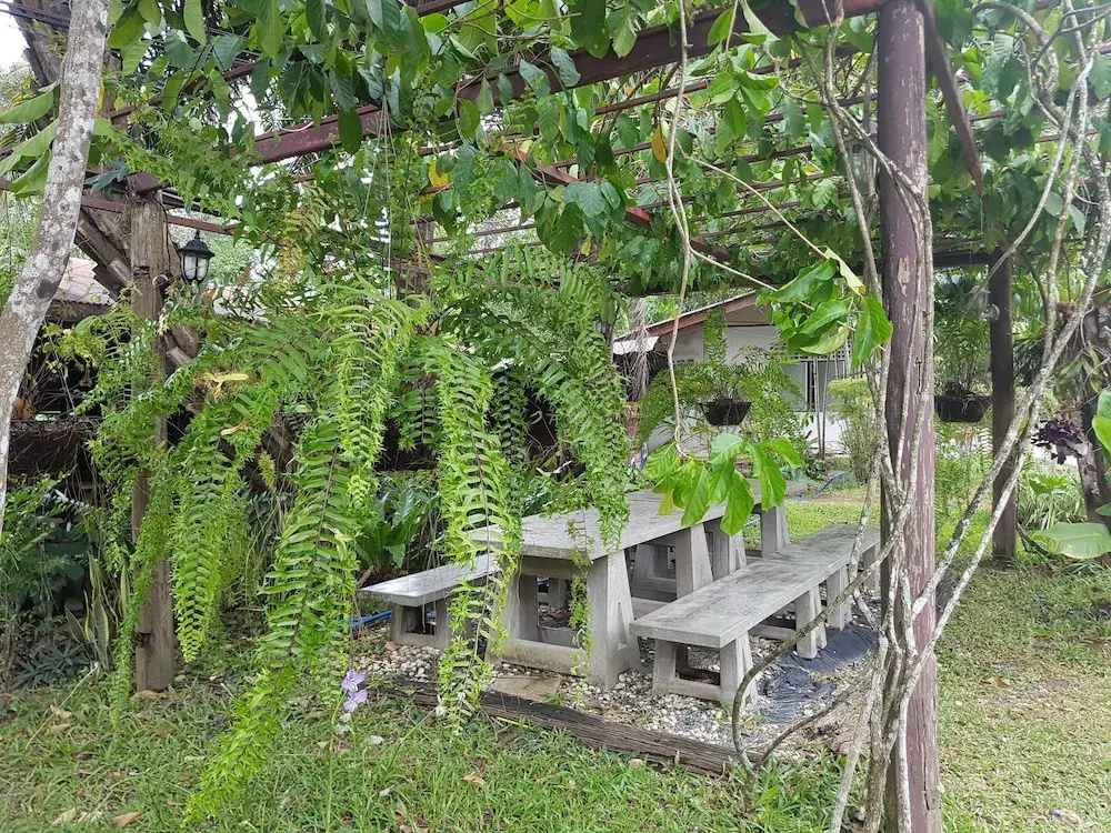 Saksupha Resort