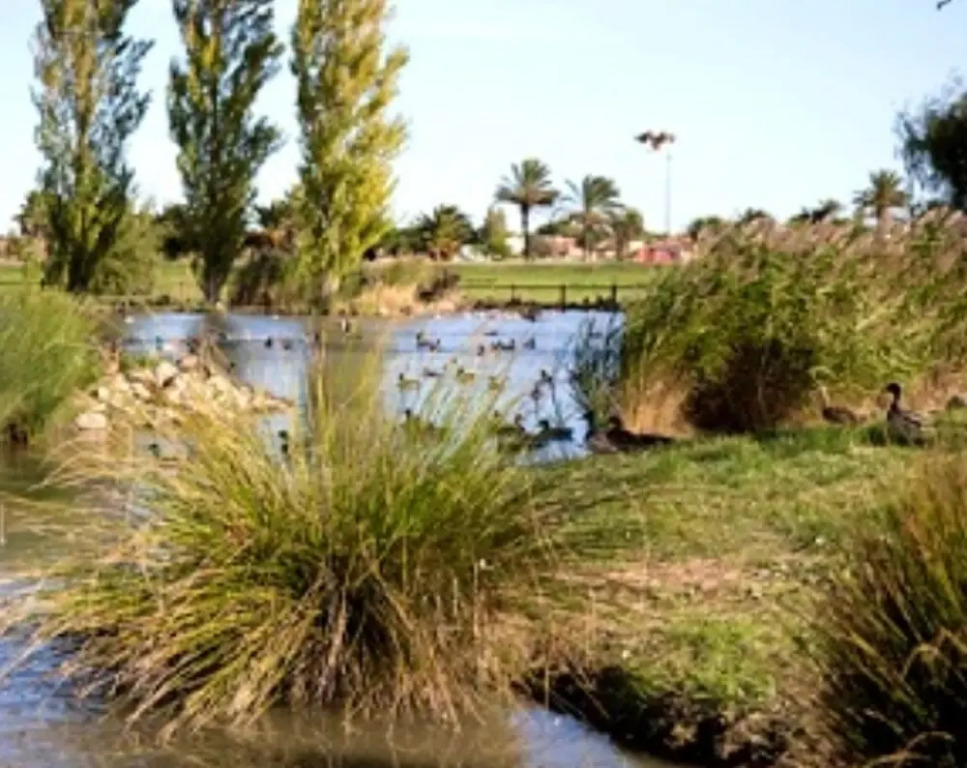 Apartment With one Bedroom in Saint-cyprien, With Wonderful Mountain View and Furnished Terrace - 80 m From the Beach