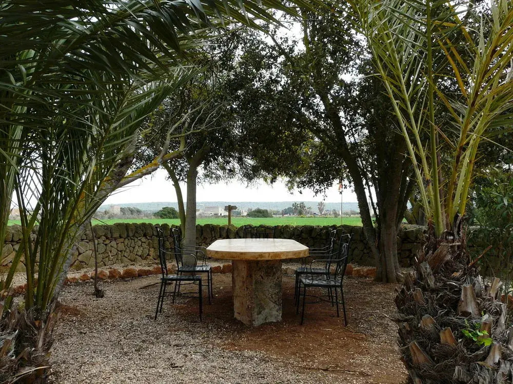 Agroturismo Es Palmer