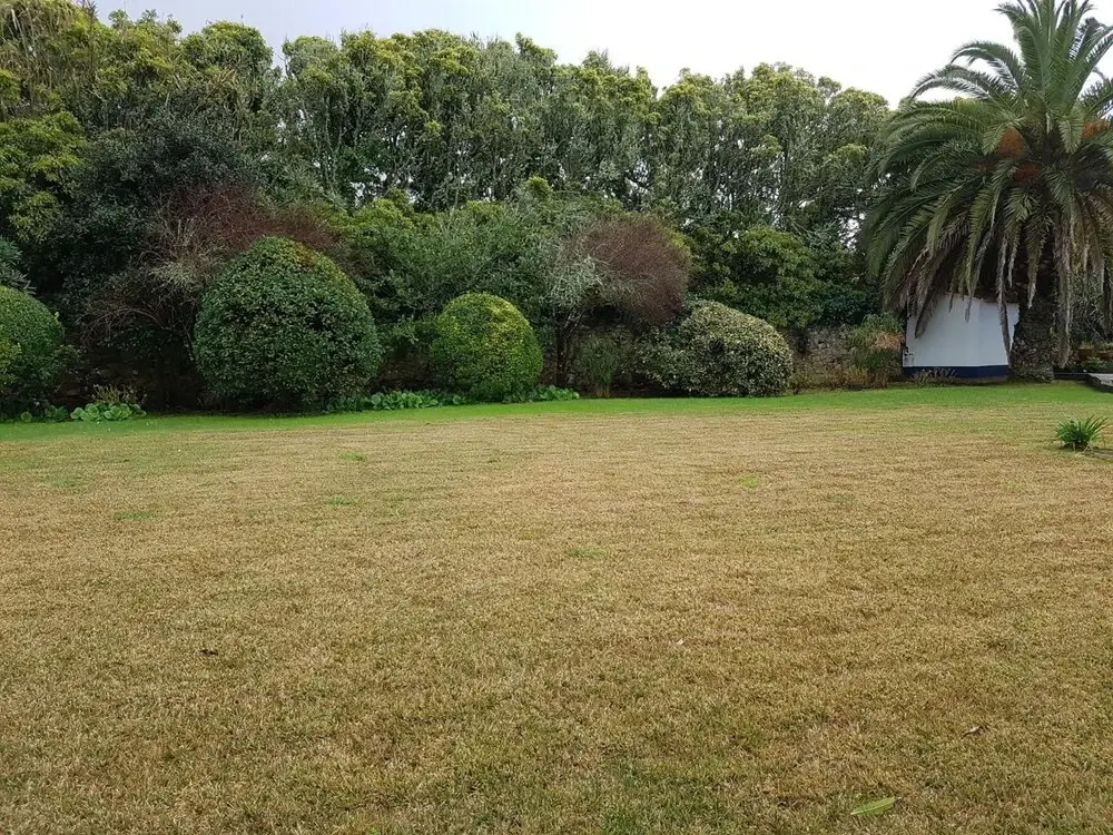 Apartment With one Bedroom in Sintra, With Pool Access, Enclosed Garde