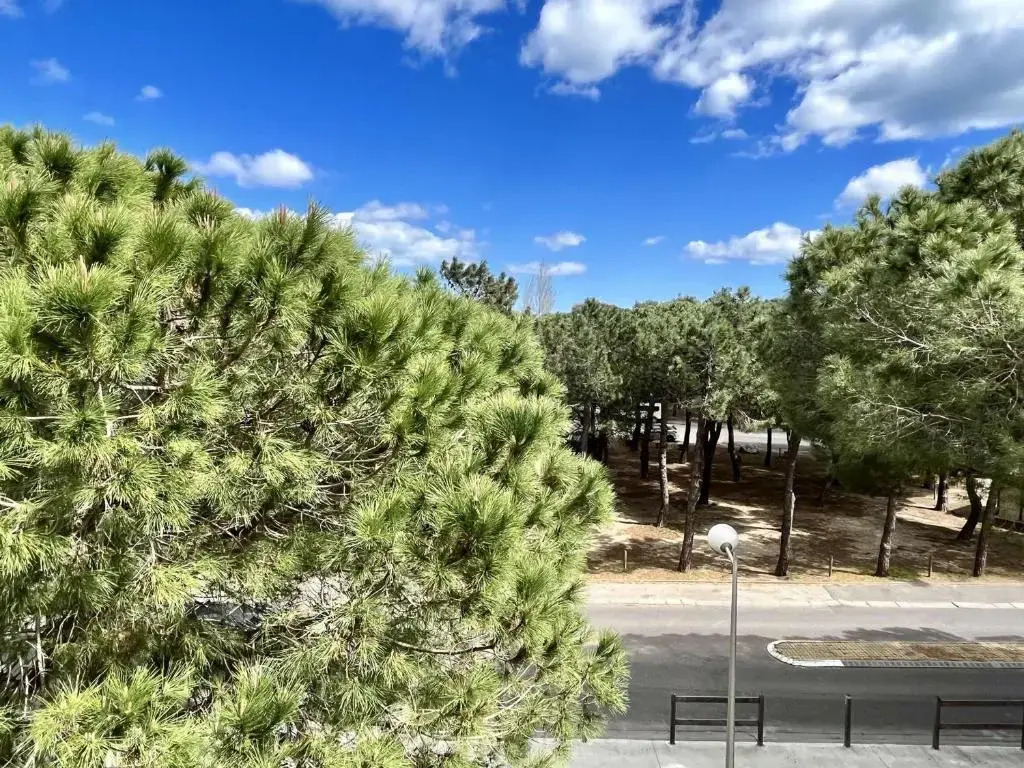 Appartement Argelès-sur-Mer, 2 pièces, 6 personnes - FR-1-225-272