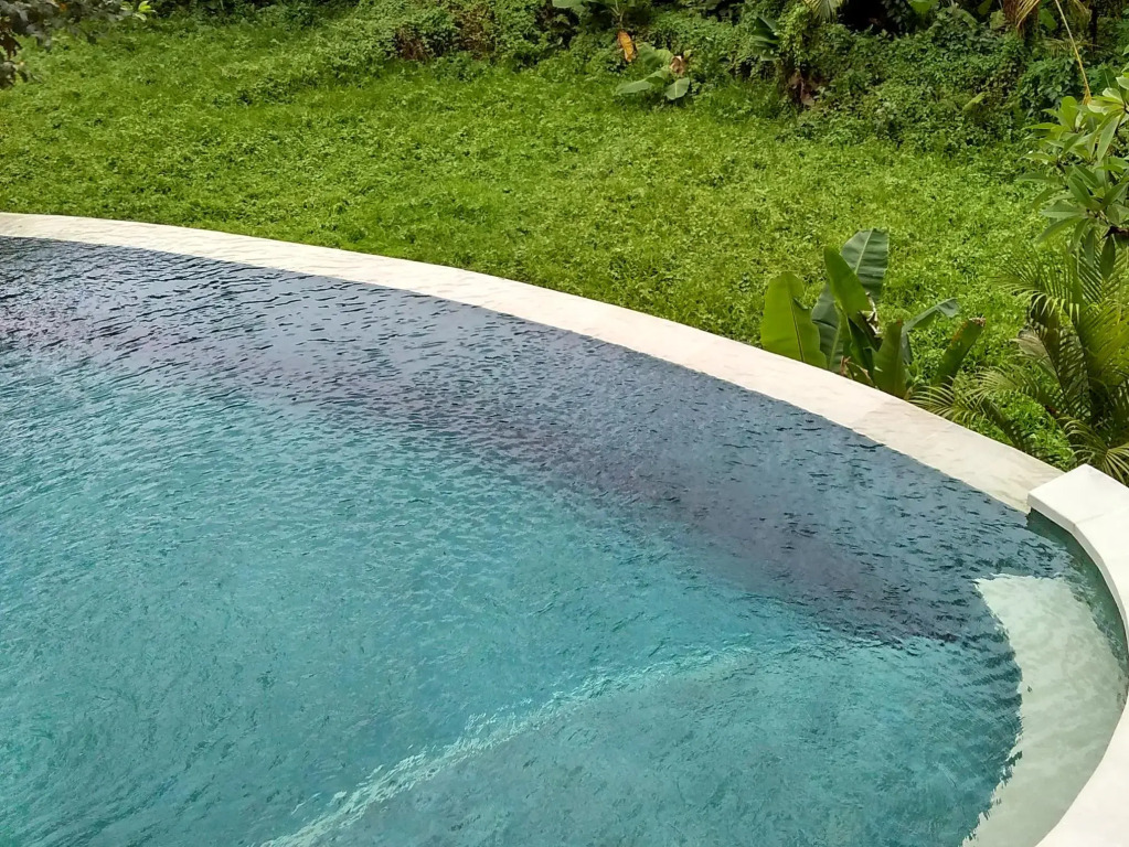 Lotus Villa Ubud