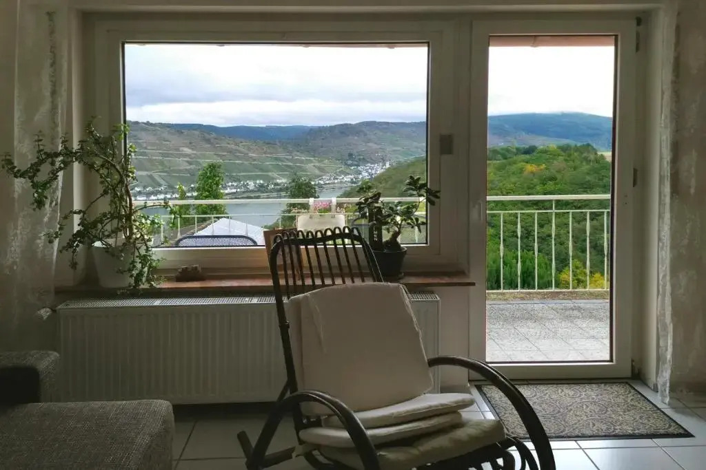 Schau-Rhein#1 - On top of Bacharach, Rhineview