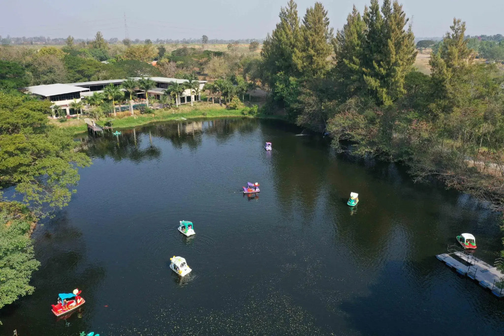 Fountain Tree Resort (SHA Extra Plus)
