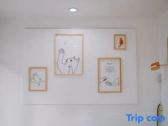 Meow Cat Cafe & Hotel