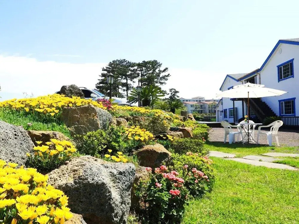 White dream Pension