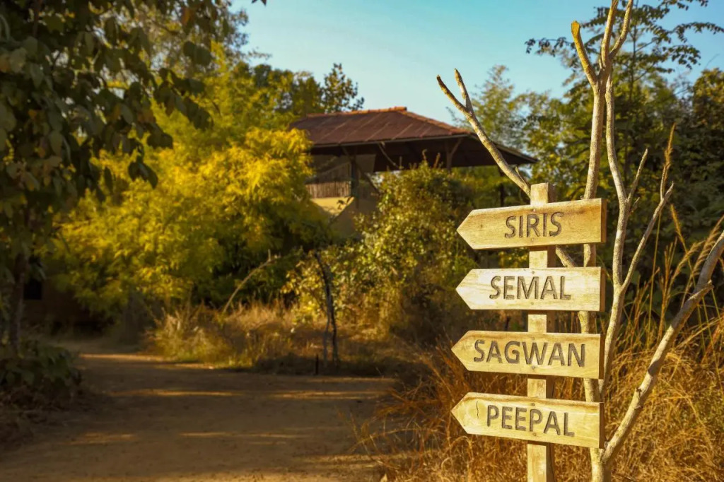 Forsyth Lodge