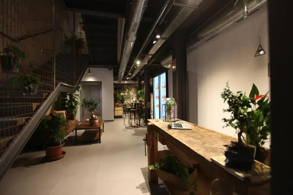 VTZ The Botanic Hostel