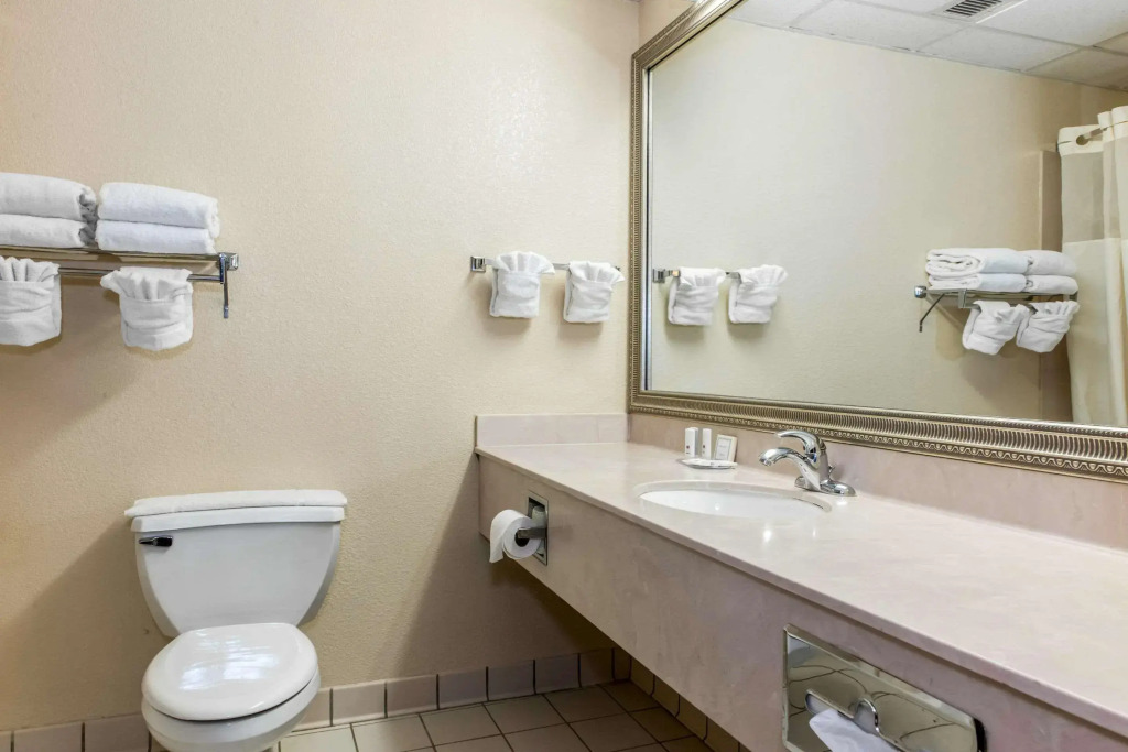 Clarion Inn & Suites Indianapolis Northwest