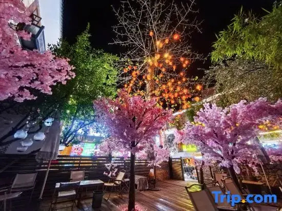 Jianshui TaoZhi Homestay