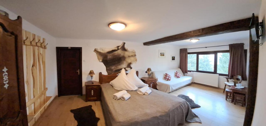 Pension Cabana Ionela