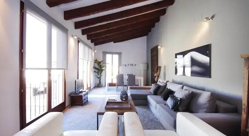Valencia Luxury Ciutat Vella Penthouse