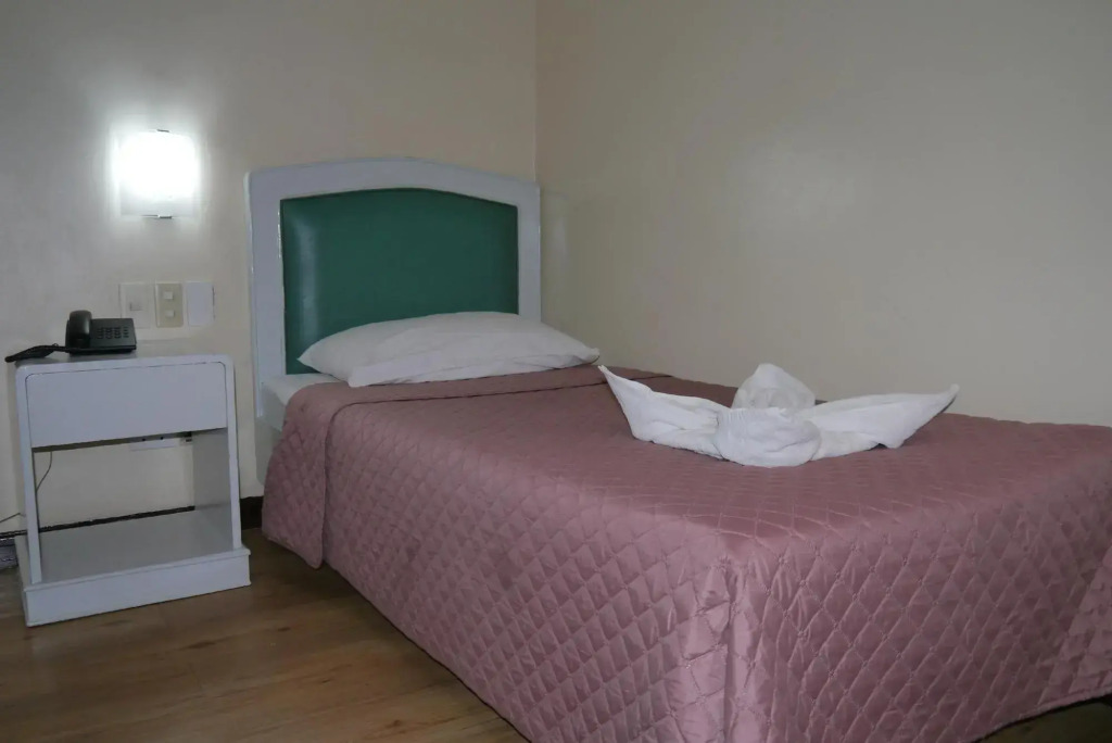Top Plaza Hotel