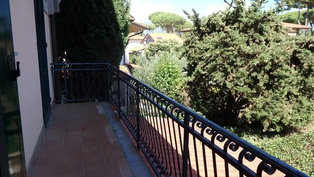 Viareggina