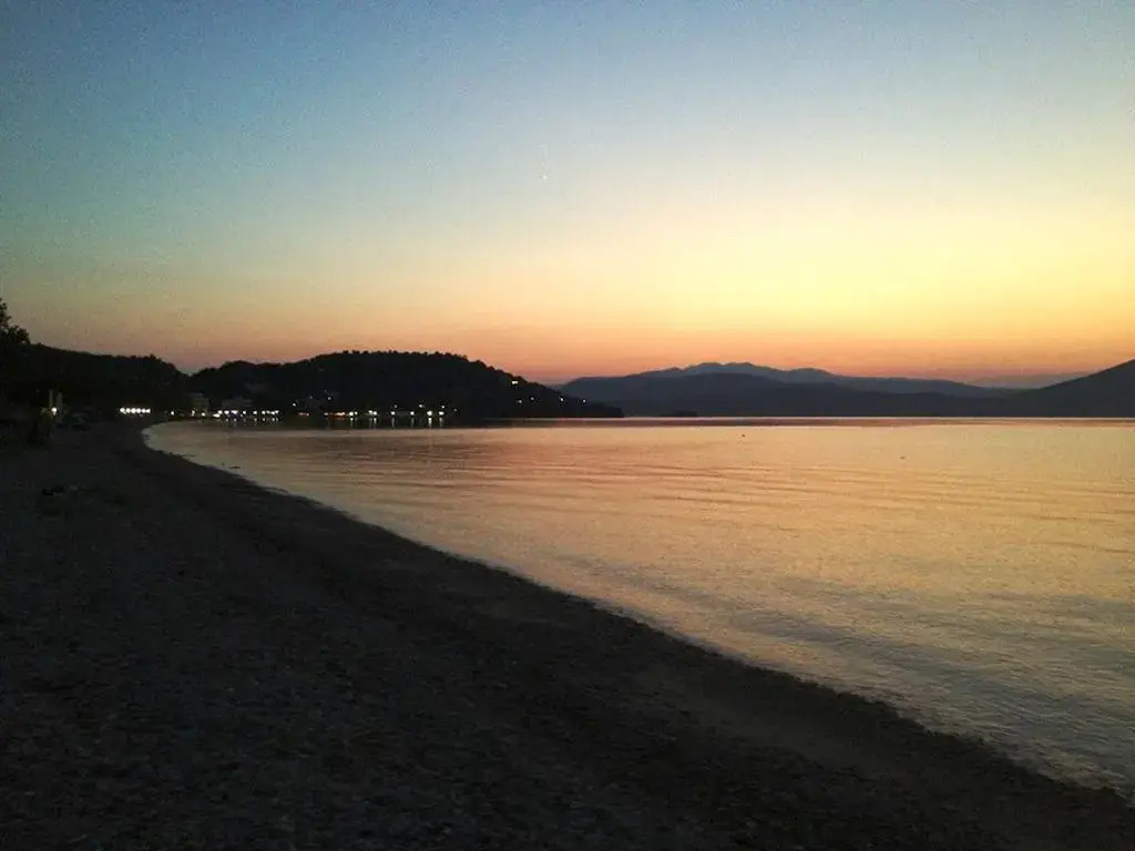 Vassilis Studios