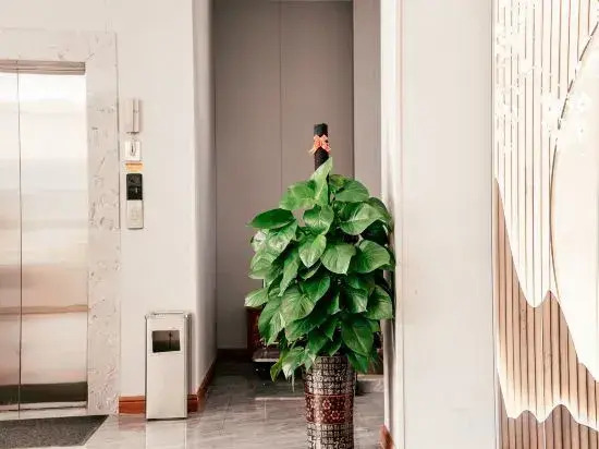 Jiahe Hotel (Haitang Bay Duty Free City)
