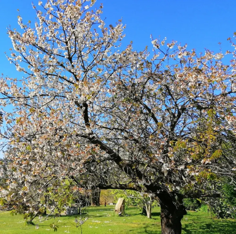 Posada Paz
