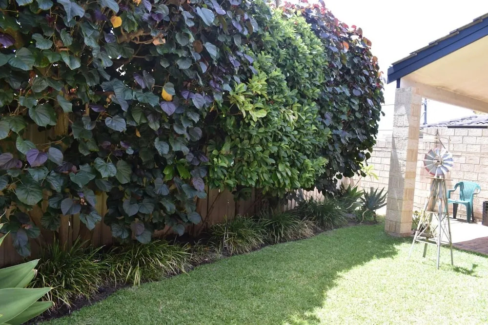 Comfortable 2 Bedroom With Serene Garden