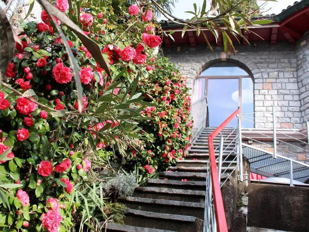 Barony romantic villa