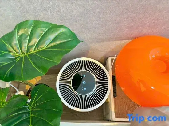 Willen Homestay - Near Fanwulao in Center District 1