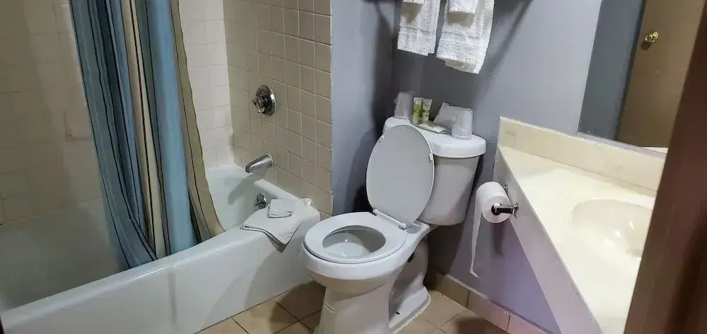OYO Hotel East Macon I-75