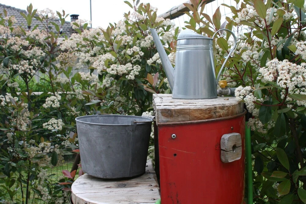 Bed & Breakfast Al Devesio