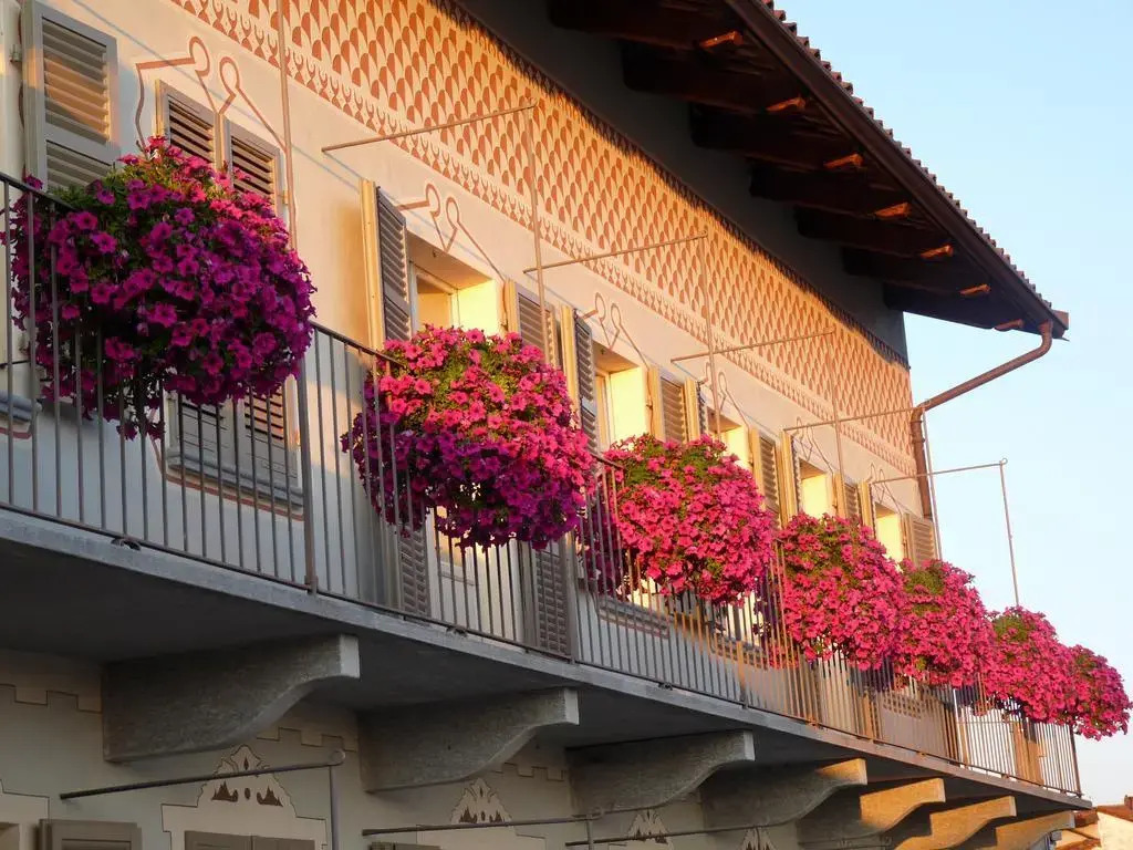 Casa Americani